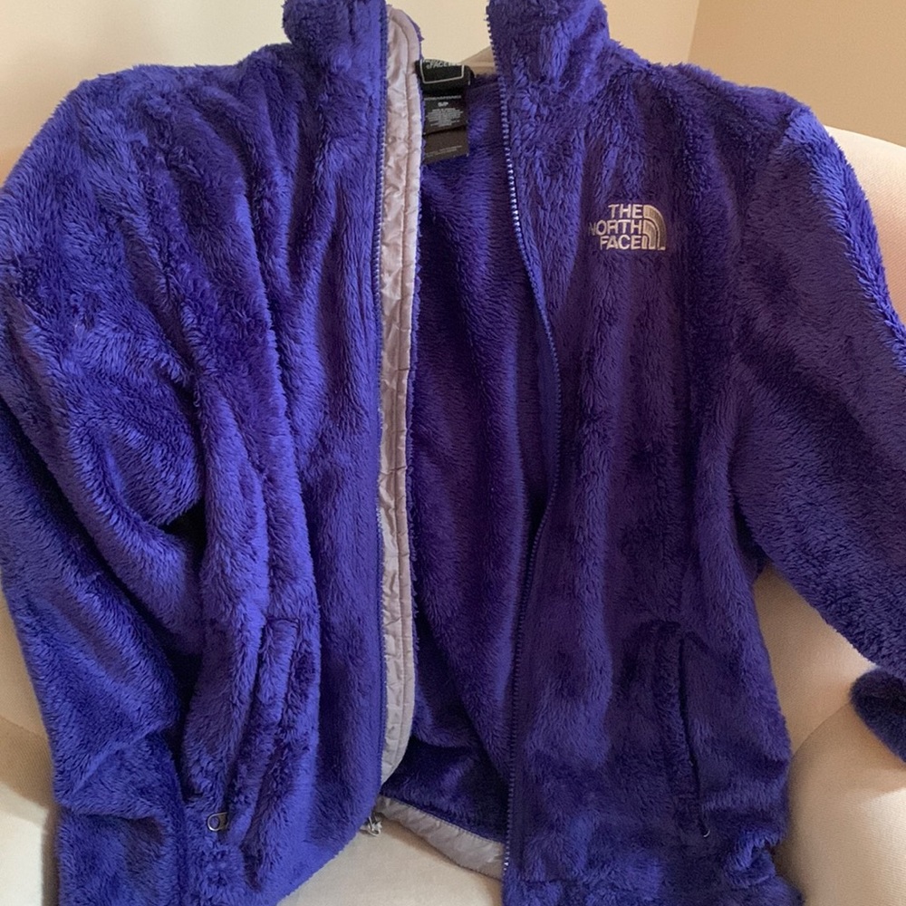 The north face jacket